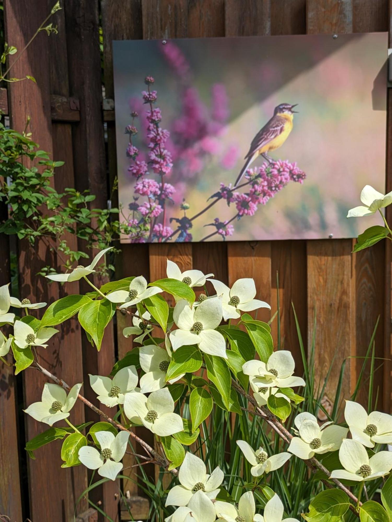 Ferienwohnung Zum Wenning Mit Garten In Stadtlohn מראה חיצוני תמונה